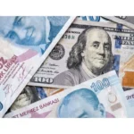 17167279011497744018