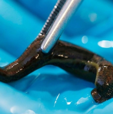 6641b67826766178.jpg