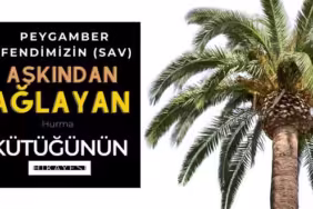 Gri-Kirmizi-Sade-Son-Dakika-Flas-Haber-Duyurusu-Hareketli-Instagram-Gonderisi-660-x-330-piksel-21-1
