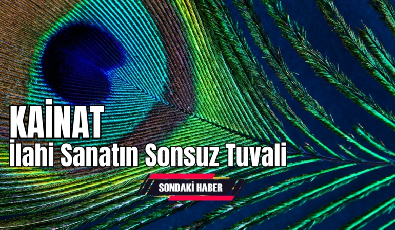 Kainat; İlahi Sanatın Sonsuz Tuvali