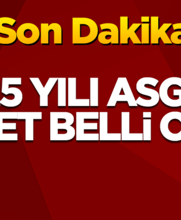 2025-yili-asgari-ucret-belli-oldu-2h1735062248-26f383.png