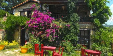 yesilyurt-koyu-kapak.webp.webp