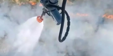 izmirde-orman-yangini-1750420153584.jpeg