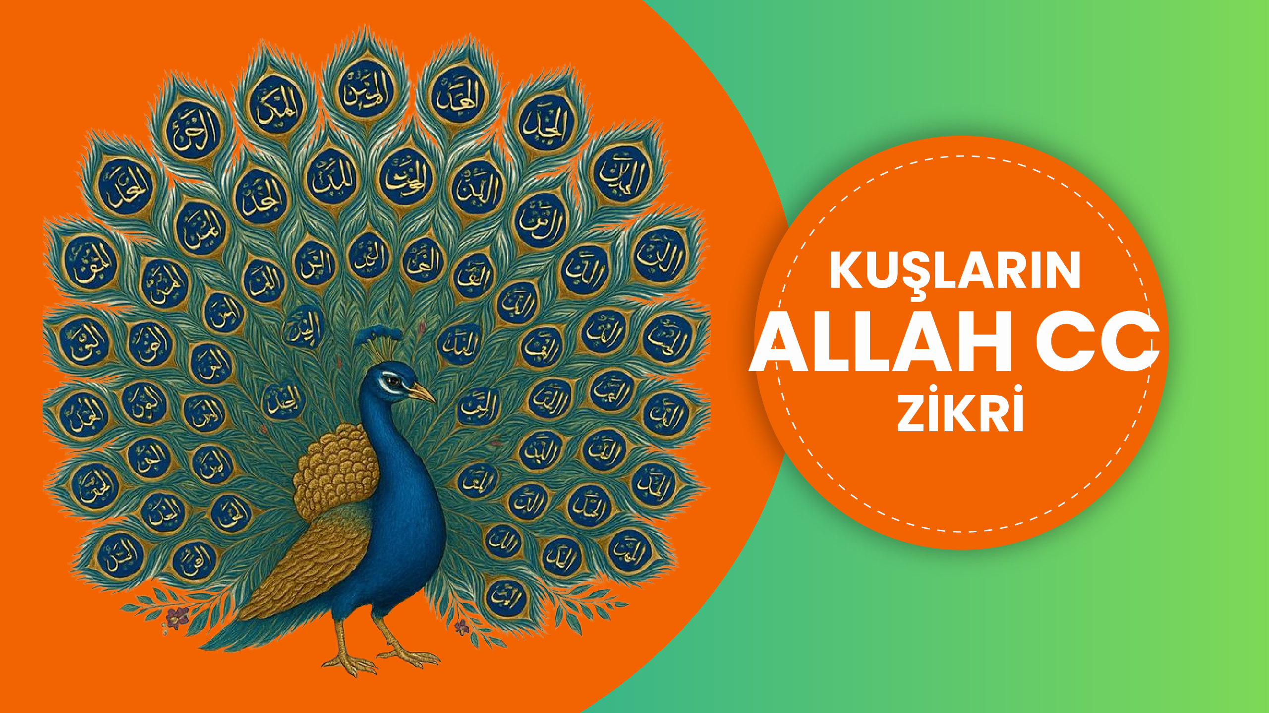 Kuşların Allah cc Zikri