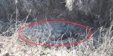 izmirde-kayip-kadinin-cesedi-kanalda-bulundu-1755971554191.jpeg