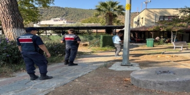 izmirde-supheli-hayvan-olumleri-arastiriliyor-1756388057812.jpg
