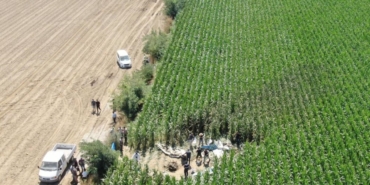 pilotluk-hayali-misir-tarlasinda-bitti-1756957291613.jpg