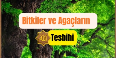 Navy Tech Cyber Security Concept Video Ad (21)