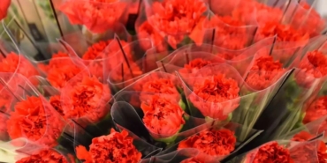 8-mart-kadinlar-gunu-hangi-cicegi-temsil-ediyor-1772880236809.jpeg