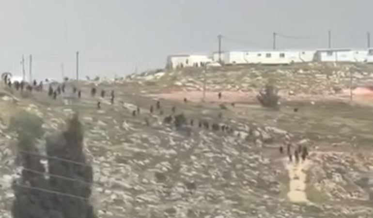 jalud-sm-2456912.jpg