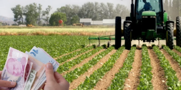 tarim-tarim-tarim-destek-odeme.png