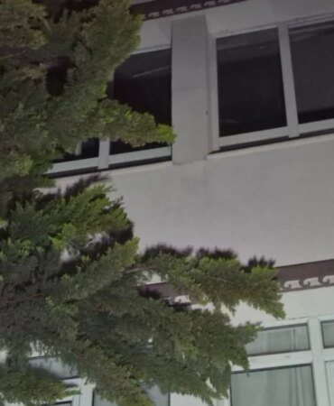 6a014acadf409160.jpg