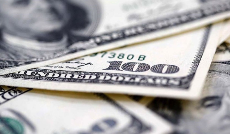 finansal-kesim-disi-firmalarin-net-doviz-acigi-artti-1741153851.jpg