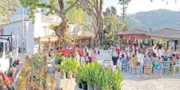 sehir-cmxk_cover.jpg