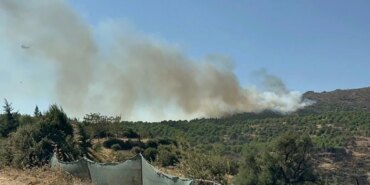 son-dakika-izmir-odemiste-orman-yangini-1787837745398.jpeg