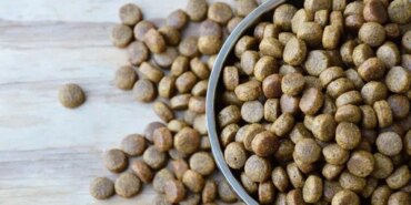 v1-qsnh_cover.jpg