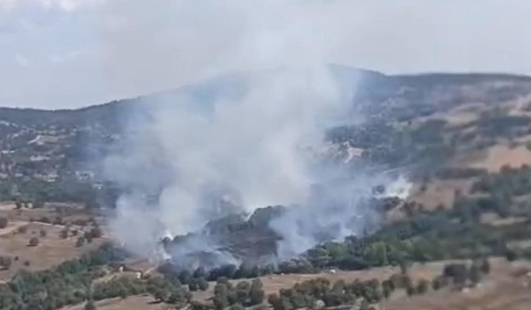 Bursa’da meydana gelen orman yangınına müdahale devam ediyor.
