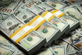 dolar-dollar-1768292317.webp