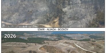 izmirde-kule-donen-alanlar-fidanla-bulusuyor-1789459938025.jpeg
