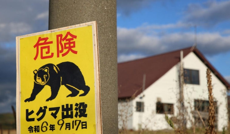 Japonya’da ayı avı operasyonu: Yapay zeka, dronlar ve robot kurtlardan faydalanılıyor.