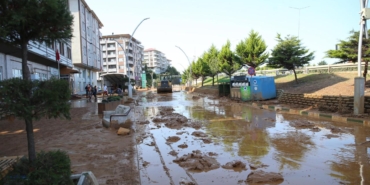 rize-sel-aa-2489728.jpg