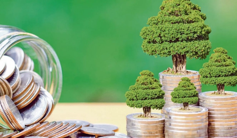 Pasifik Ülkelerinin COP31 İçin Temiz Enerji Desteği Talebi