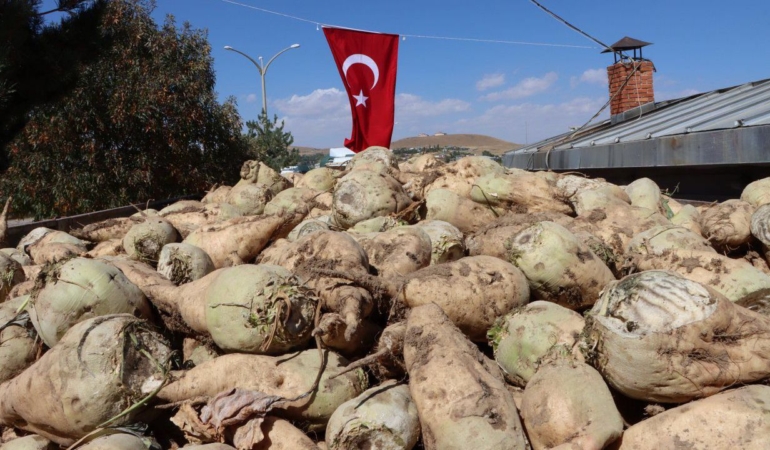 Şeker ve şeker pancarı öncesi sezon sorunları ve çözüm yolları