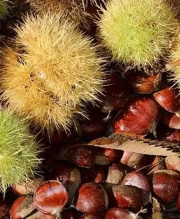 1792742233025.png