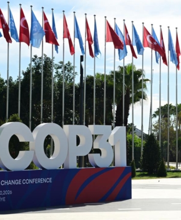 cop31-2497878.jpg