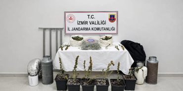 izmirde-5-kilo-skunk-ele-gecirildi-1792158217380.png