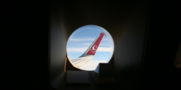 thy-1487298.jpg