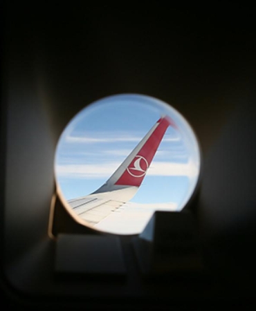 thy-1487298.jpg