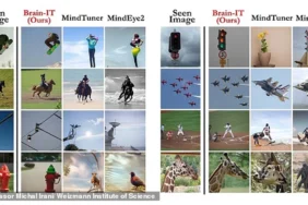 weizmann-enstitusunce-gelistirilen-brain-it-adli-yapay-zeka-beyin-taramalarini-analiz-ederek-gorsell.webp