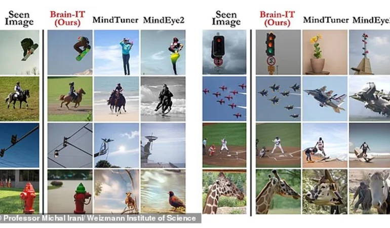 weizmann-enstitusunce-gelistirilen-brain-it-adli-yapay-zeka-beyin-taramalarini-analiz-ederek-gorsell.webp